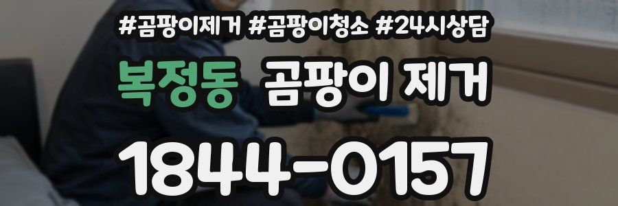 복정동 곰팡이 제거