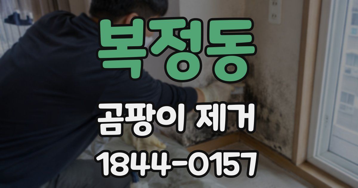 복정동 곰팡이 제거