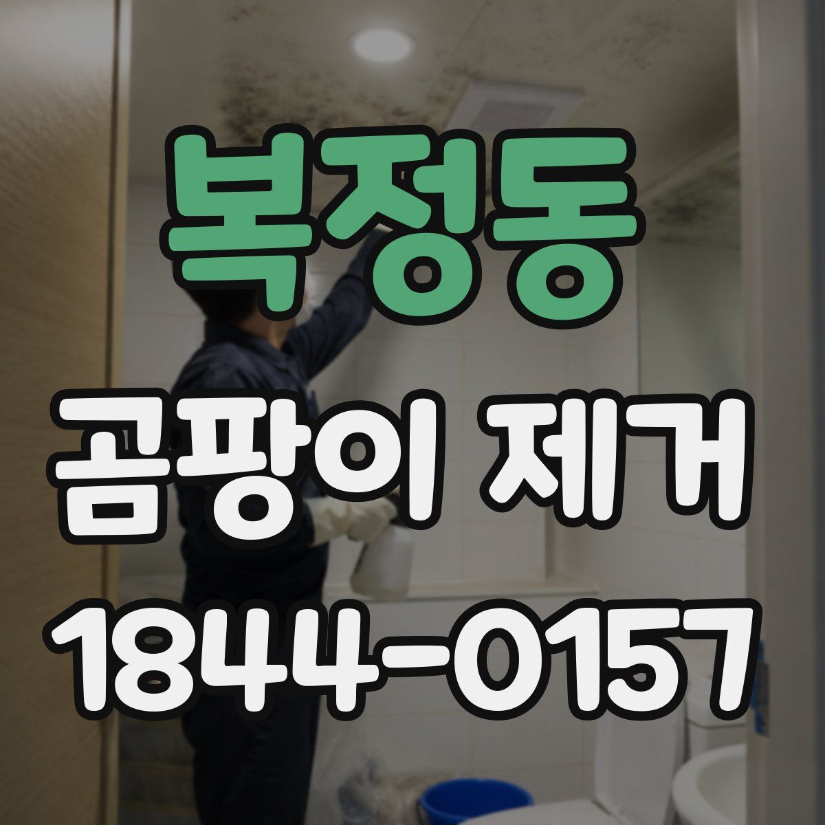 복정동 곰팡이 제거