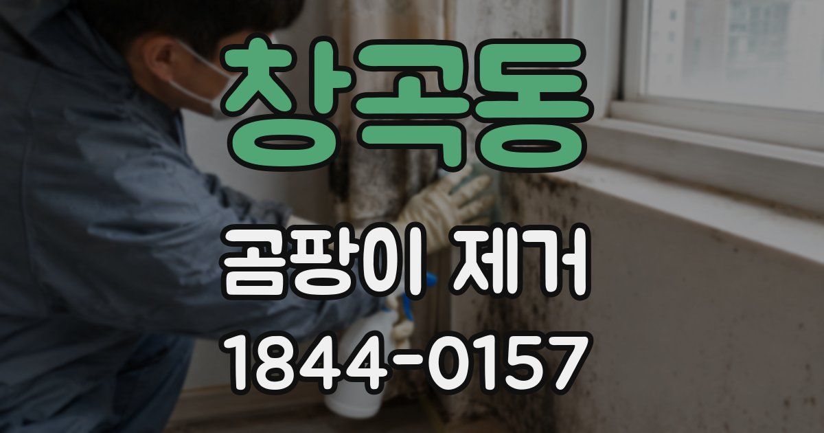 창곡동 곰팡이 제거