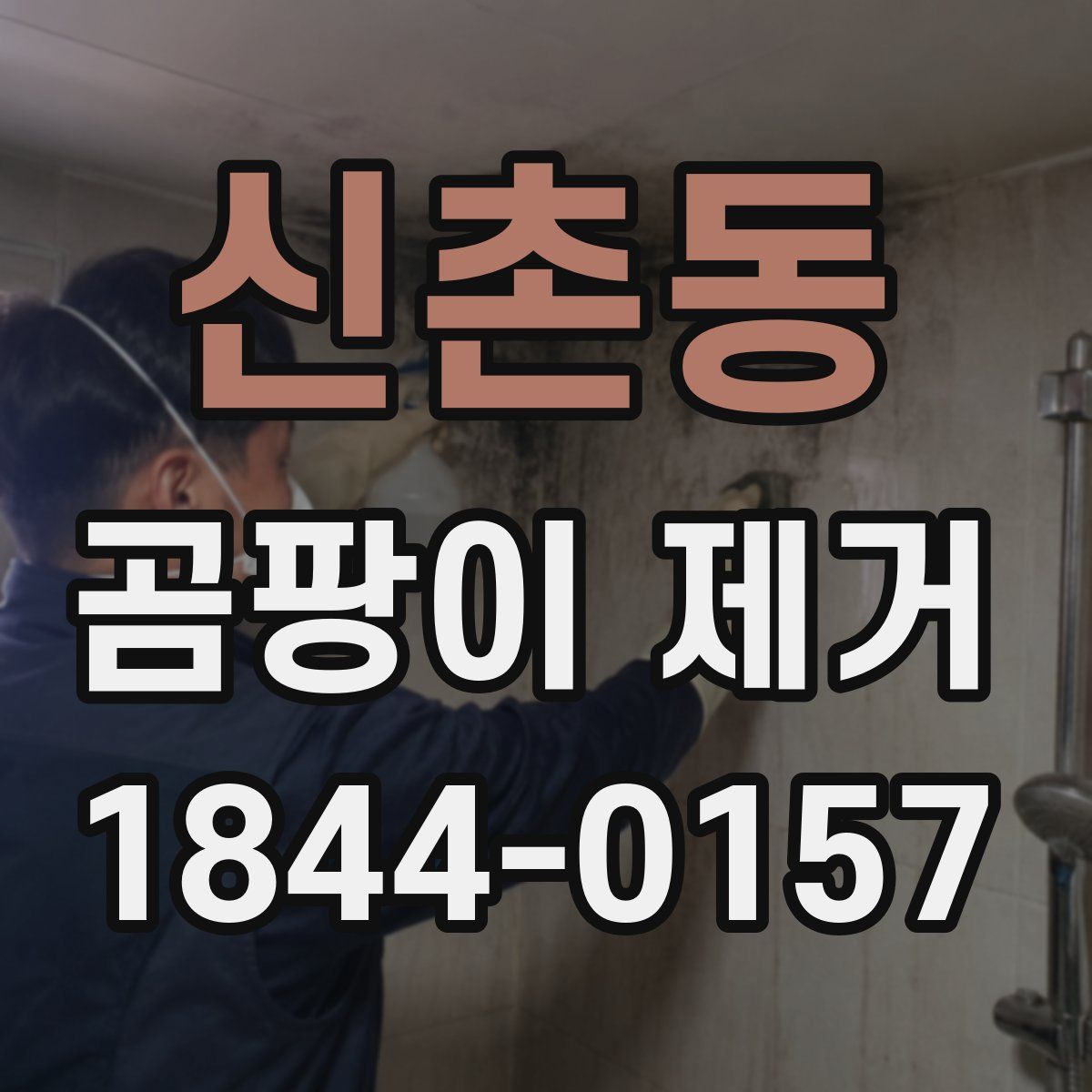 신촌동 곰팡이 제거