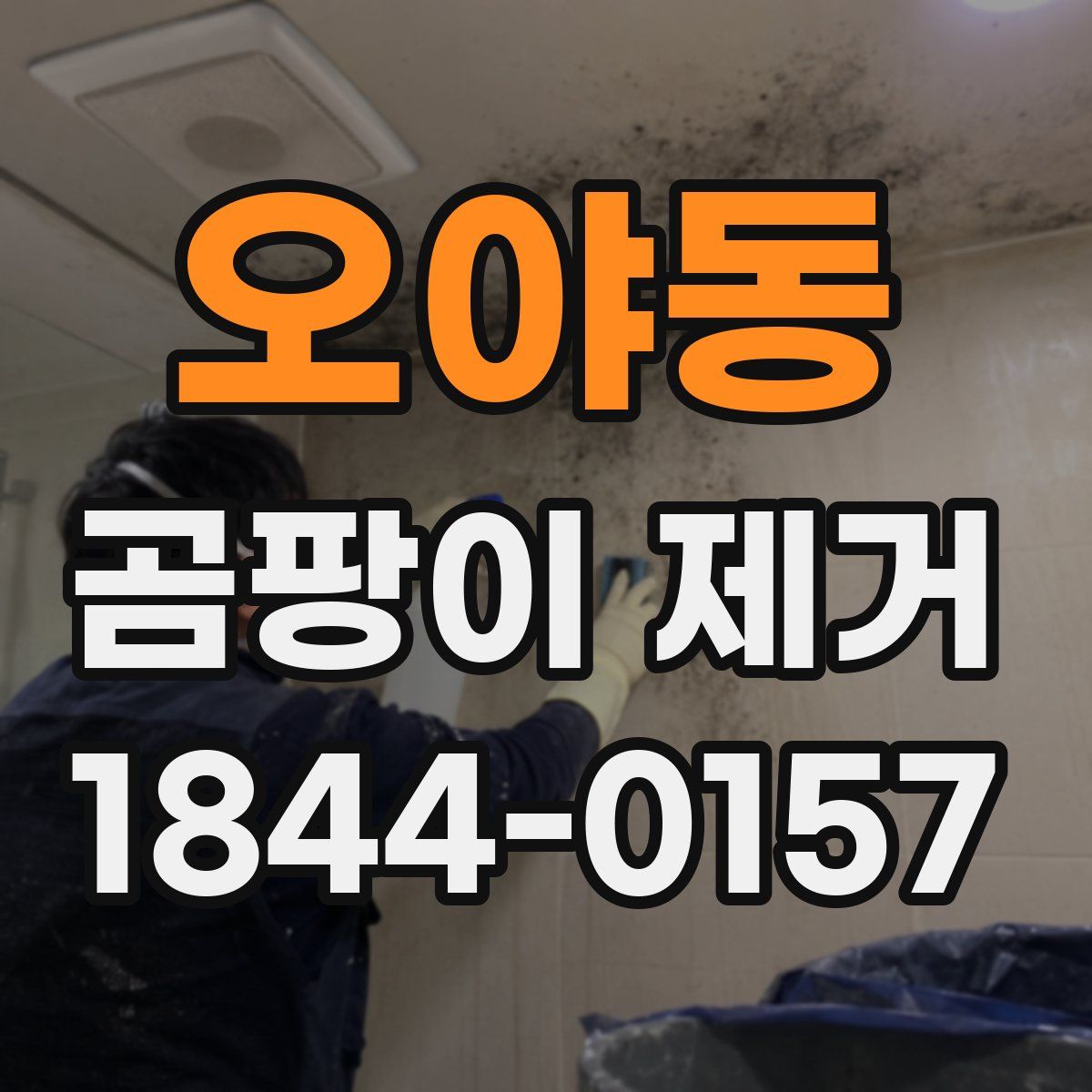 오야동 곰팡이 제거