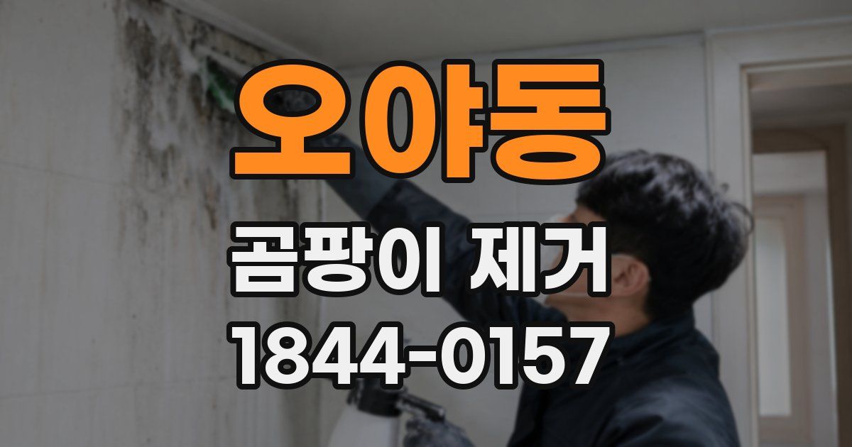 오야동 곰팡이 제거