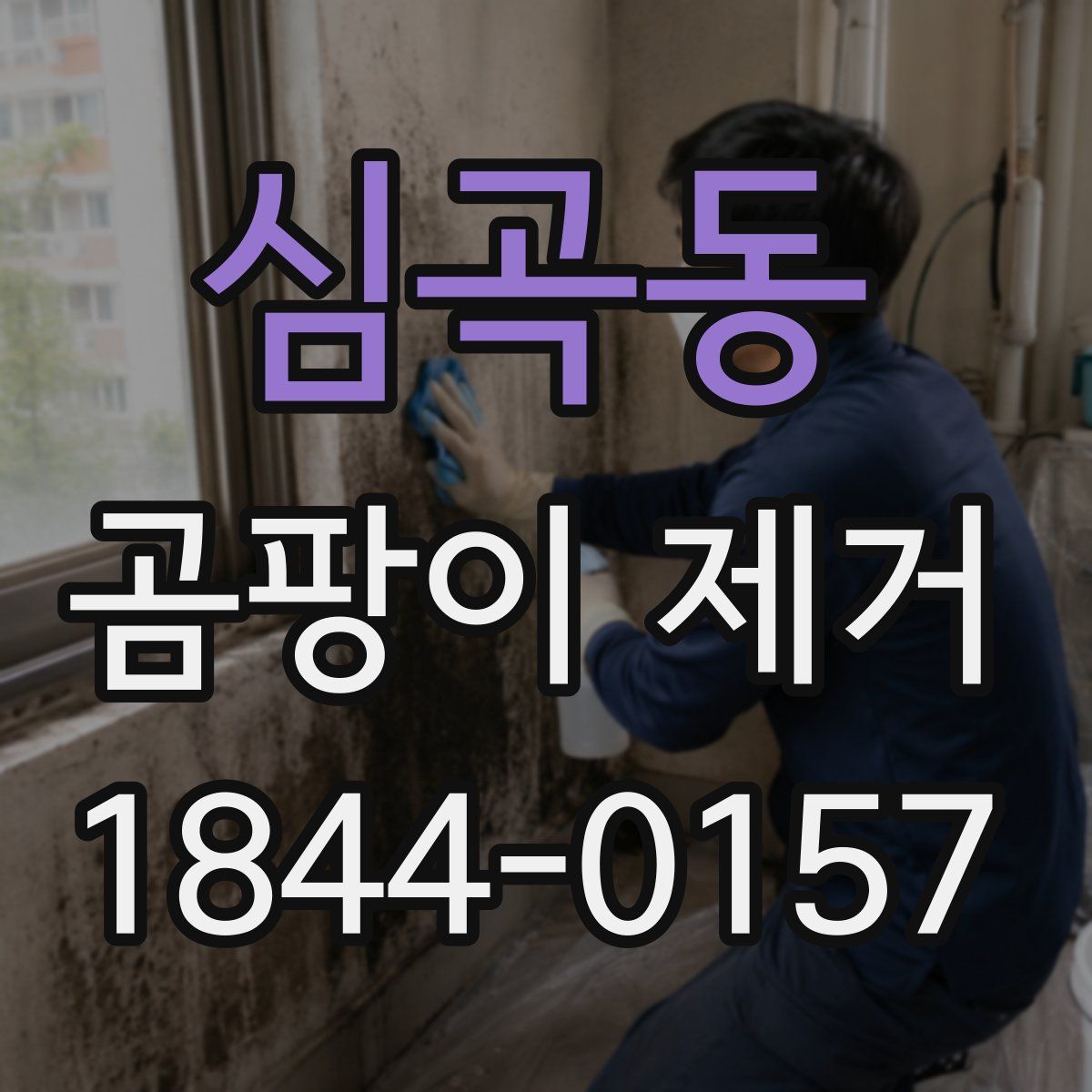 심곡동 곰팡이 제거