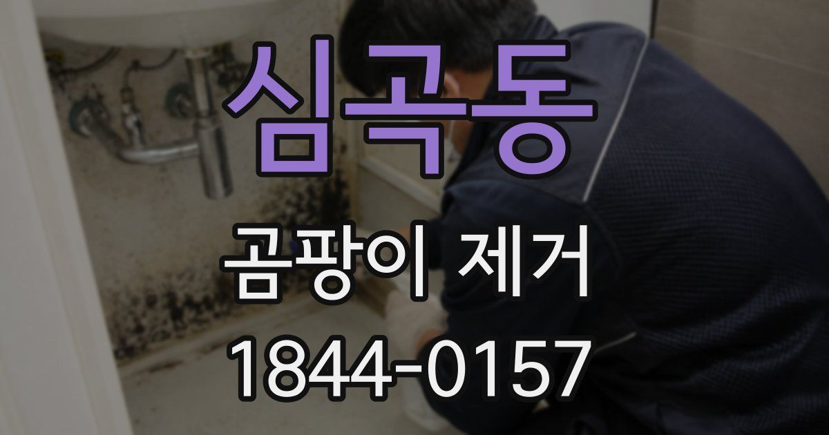 심곡동 곰팡이 제거