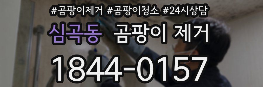 심곡동 곰팡이 제거
