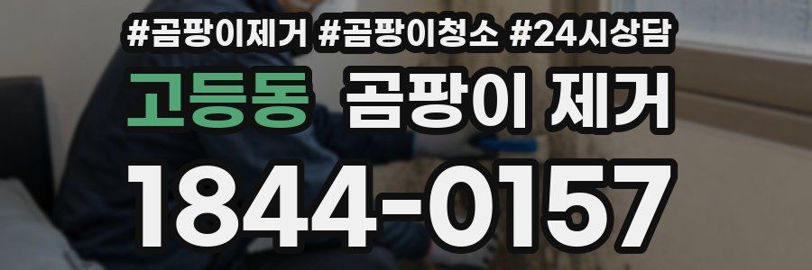 고등동 곰팡이 제거