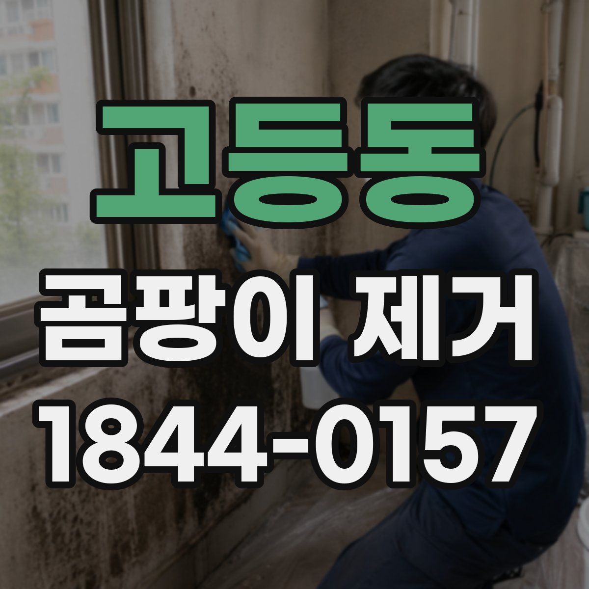 고등동 곰팡이 제거