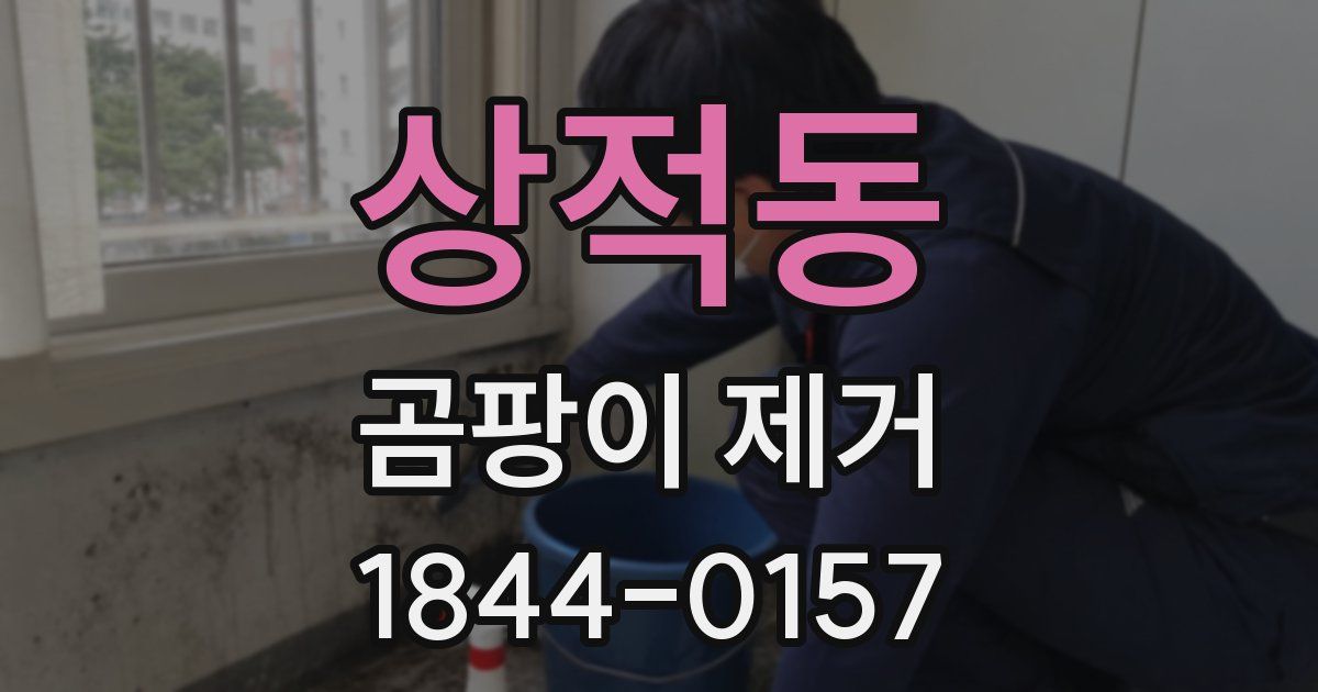 상적동 곰팡이 제거