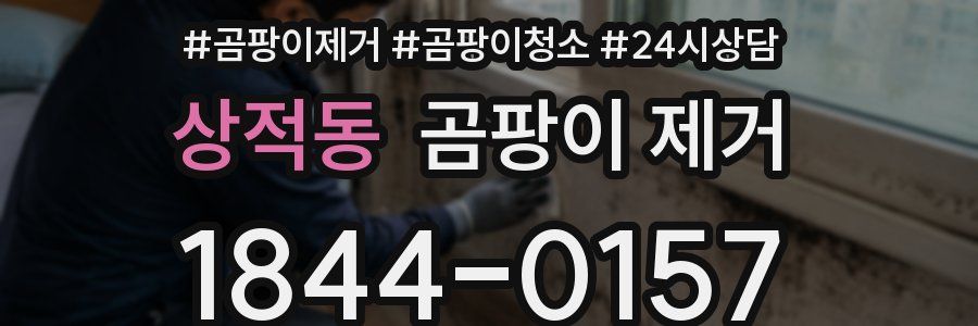 상적동 곰팡이 제거