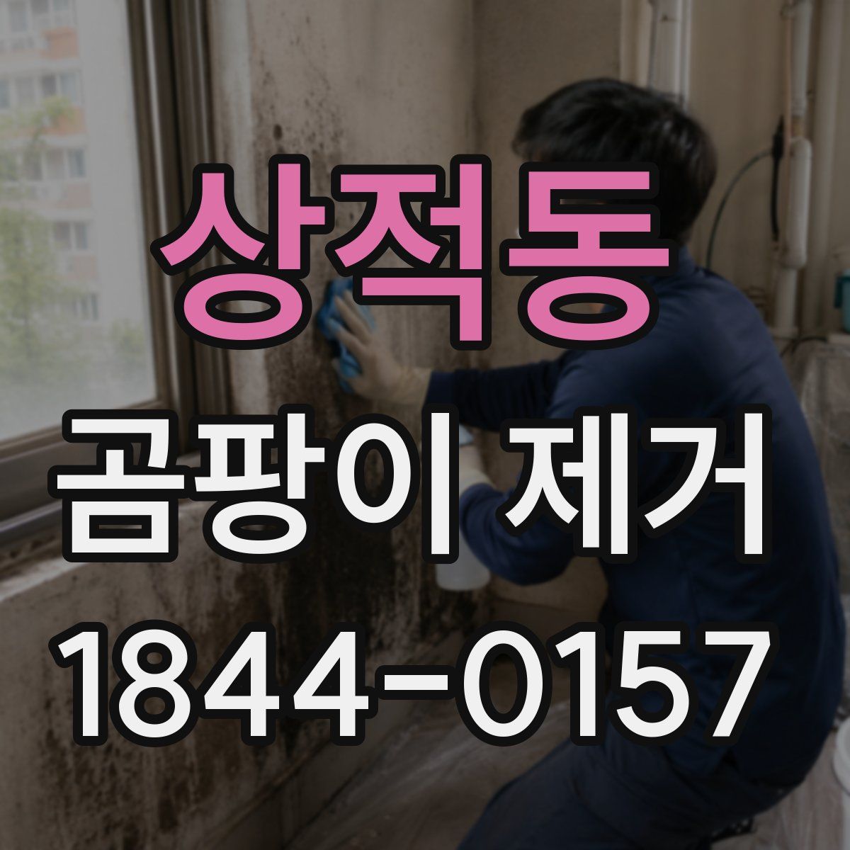 상적동 곰팡이 제거