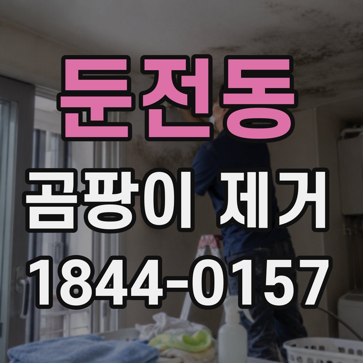 둔전동 곰팡이 제거