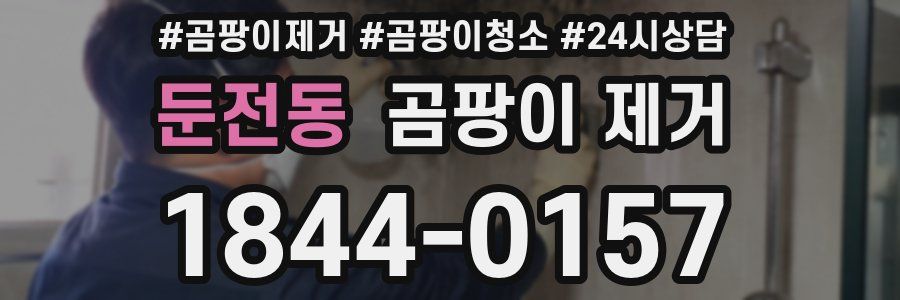 둔전동 곰팡이 제거