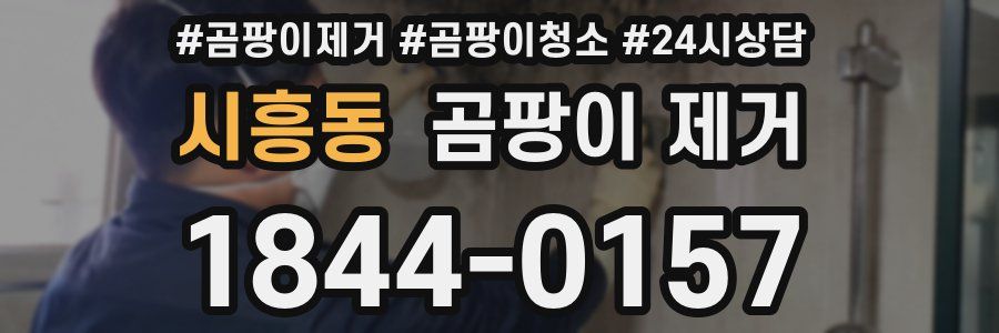 시흥동 곰팡이 제거