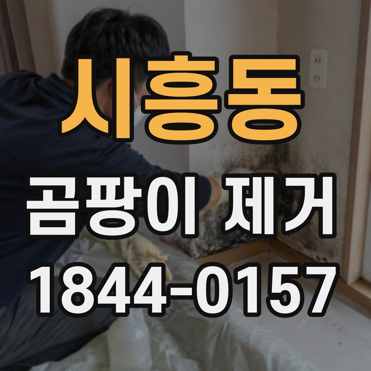 시흥동 곰팡이 제거