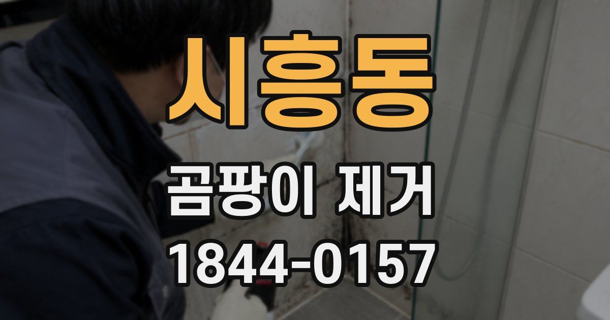 시흥동 곰팡이 제거