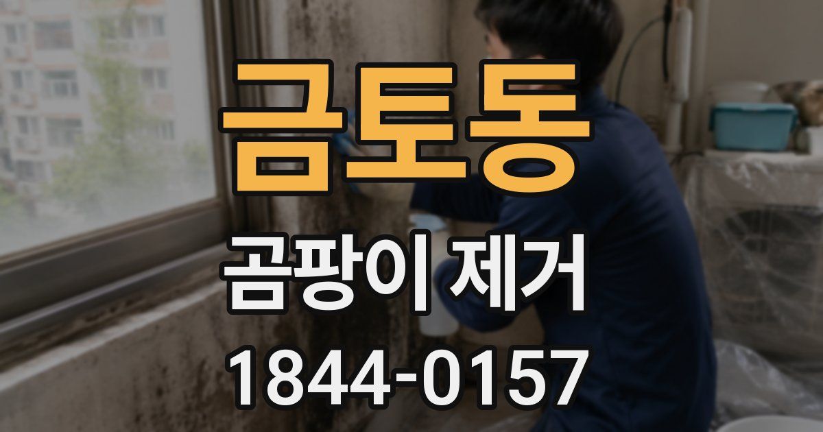 금토동 곰팡이 제거
