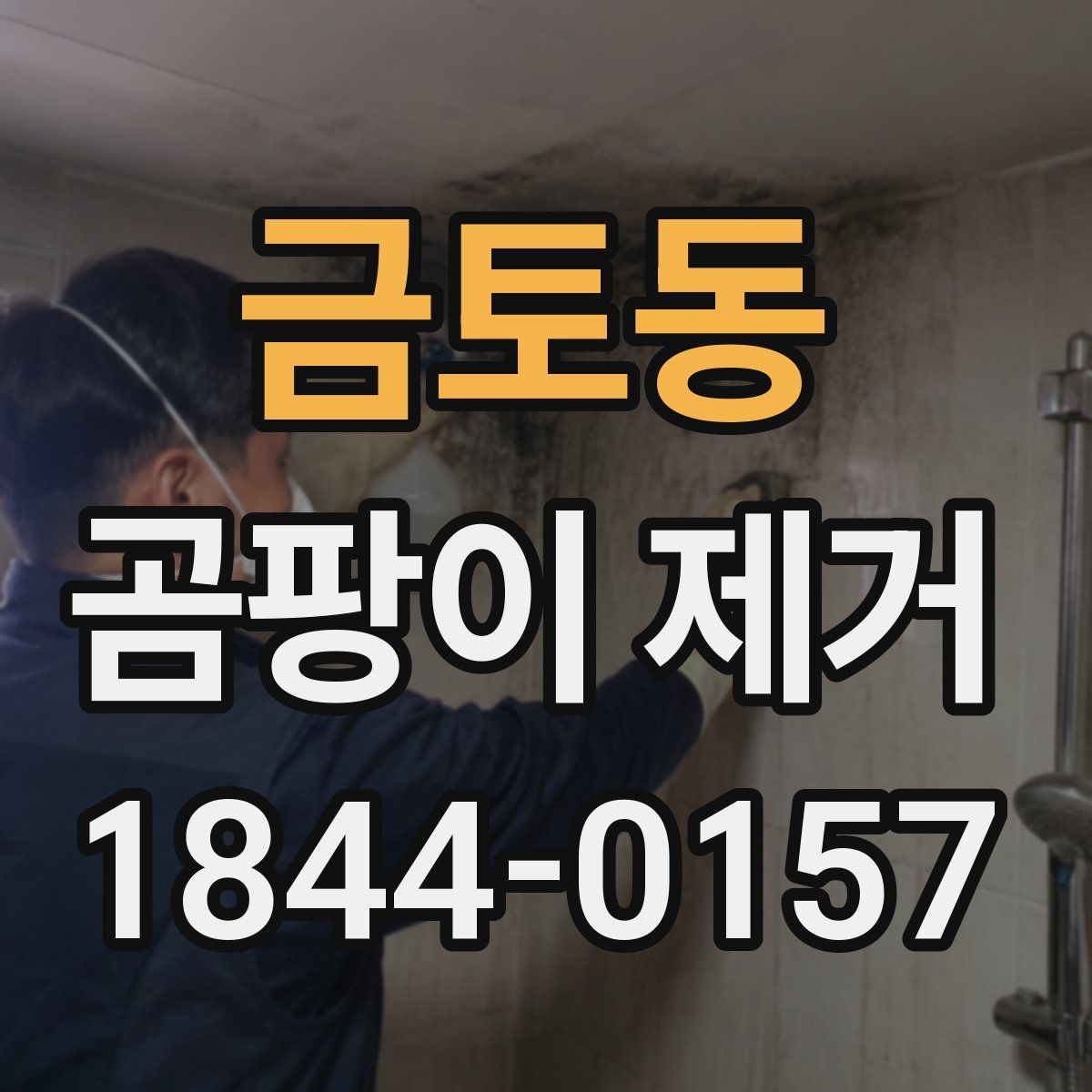 금토동 곰팡이 제거