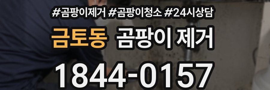 금토동 곰팡이 제거