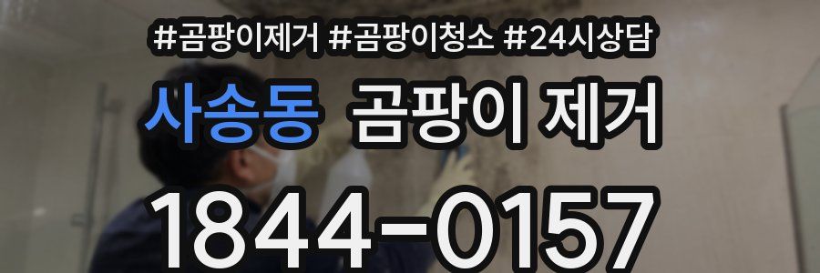 사송동 곰팡이 제거