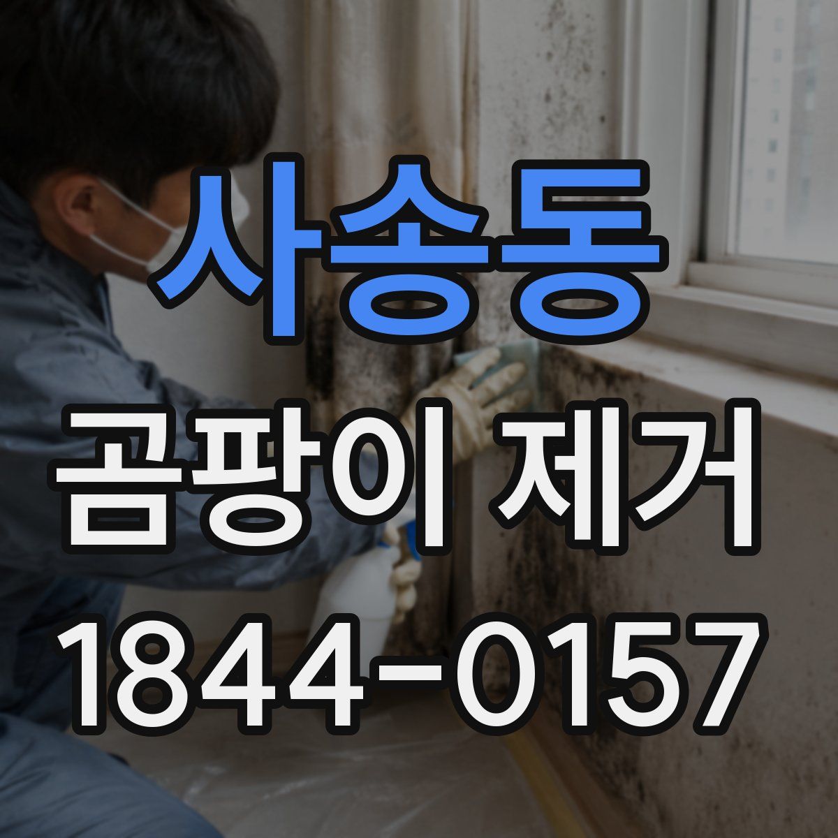 사송동 곰팡이 제거