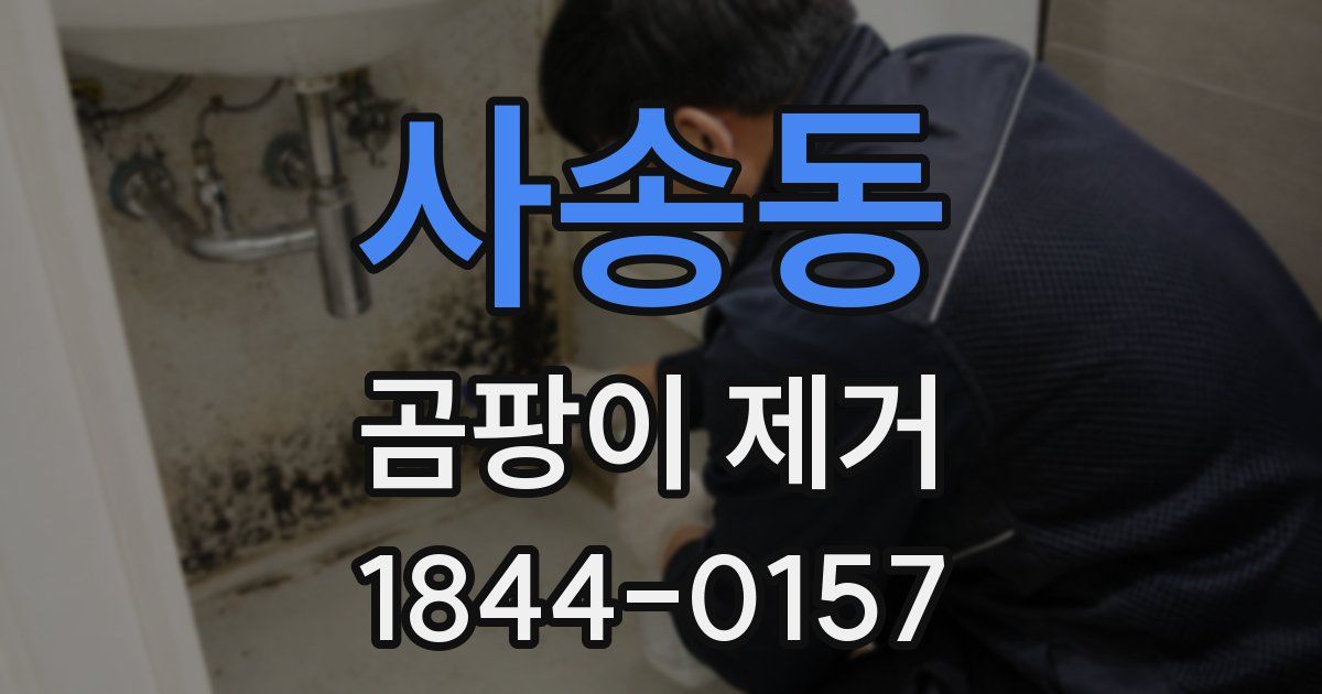 사송동 곰팡이 제거