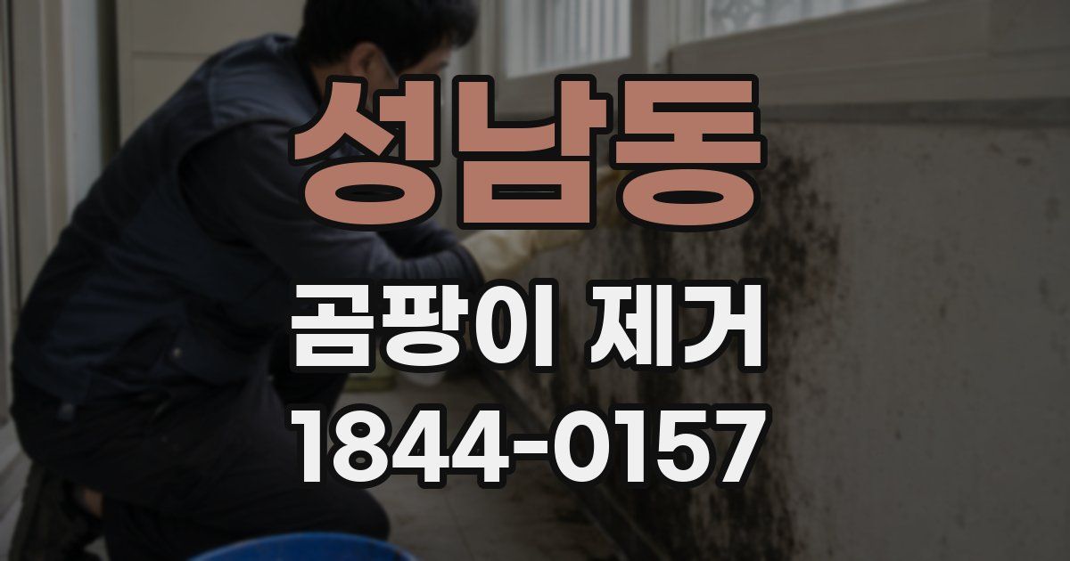 성남동 곰팡이 제거