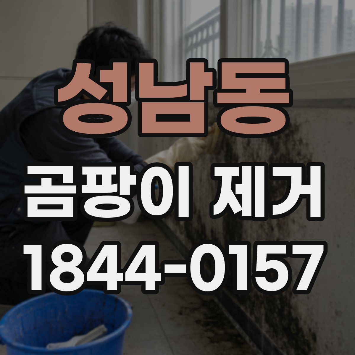 성남동 곰팡이 제거