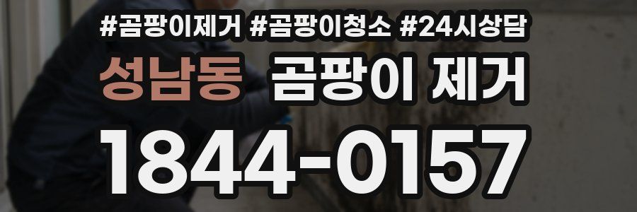 성남동 곰팡이 제거