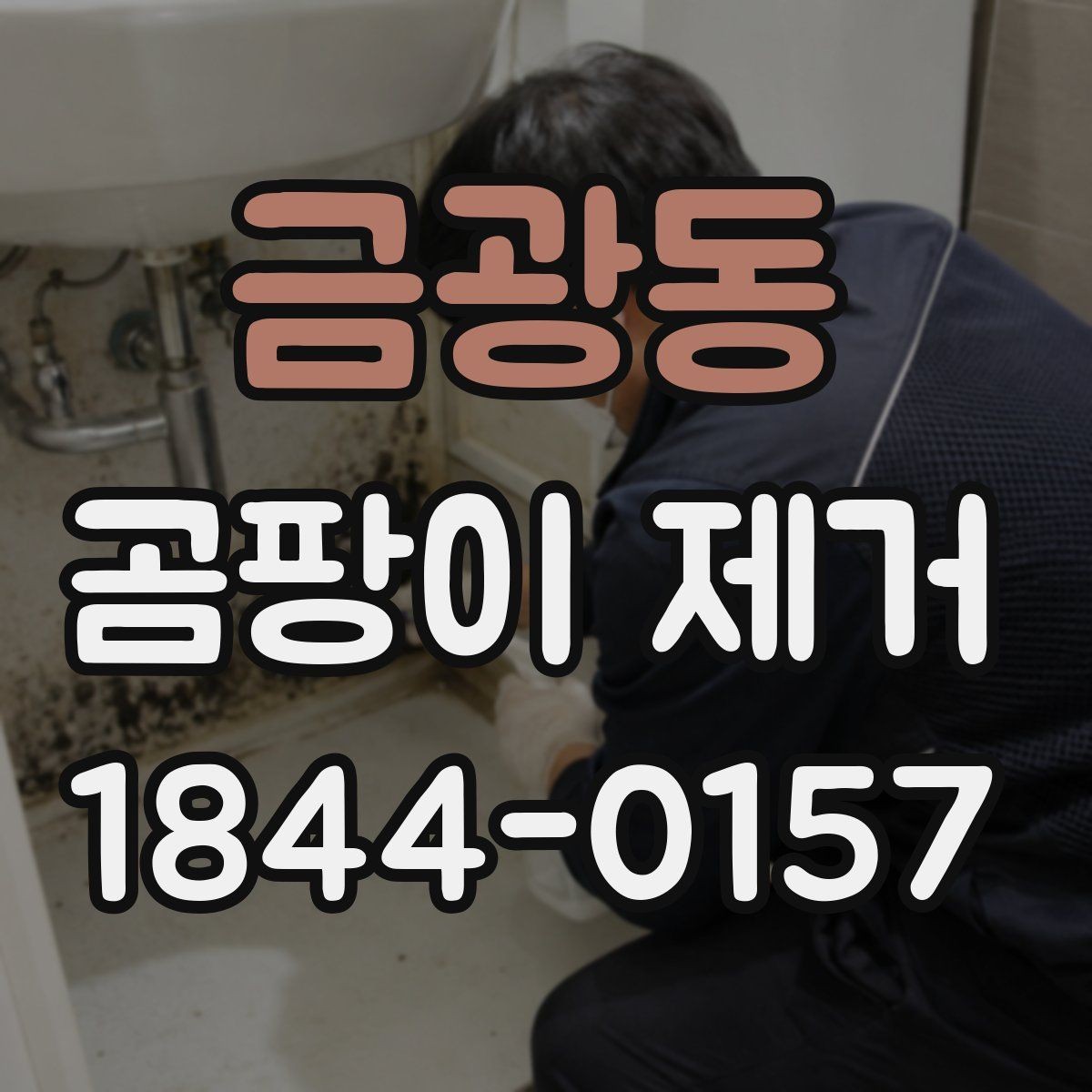 금광동 곰팡이 제거 벽면 상태를 보고 청소 범위 정하는 기준