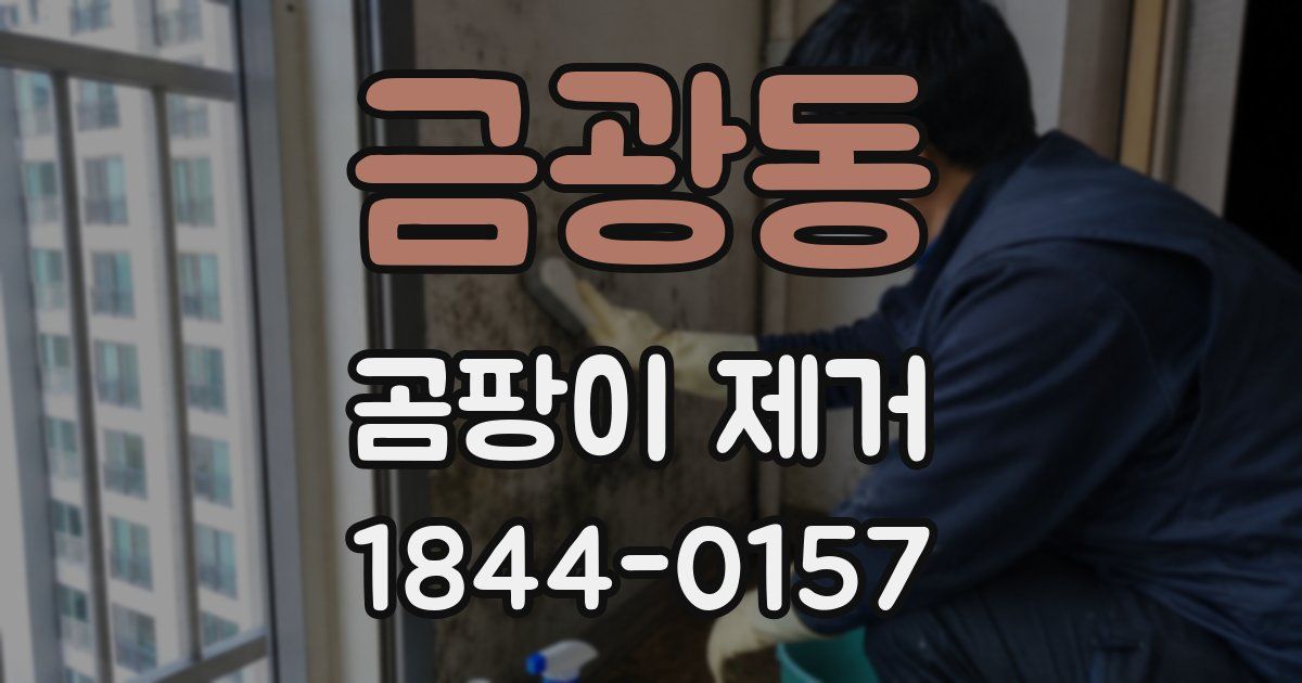 금광동 곰팡이 제거