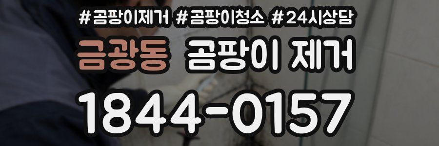 금광동 곰팡이 제거