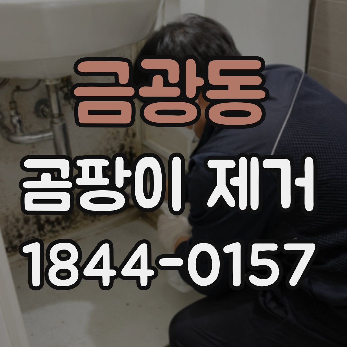 금광동 곰팡이 제거