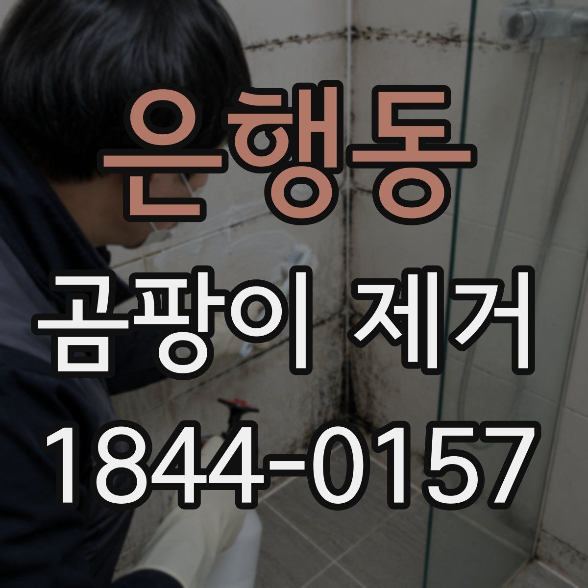 은행동 곰팡이 제거