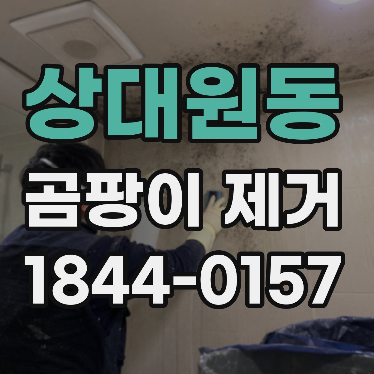 상대원동 곰팡이 제거
