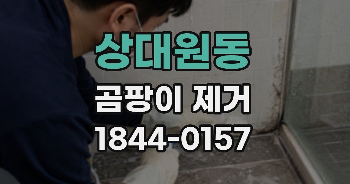 상대원동 곰팡이 제거