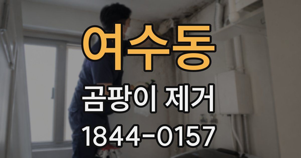 여수동 곰팡이 제거