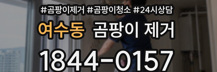 여수동 곰팡이 제거