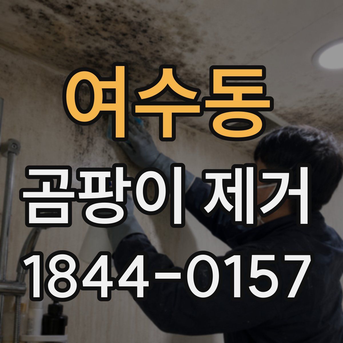 여수동 곰팡이 제거