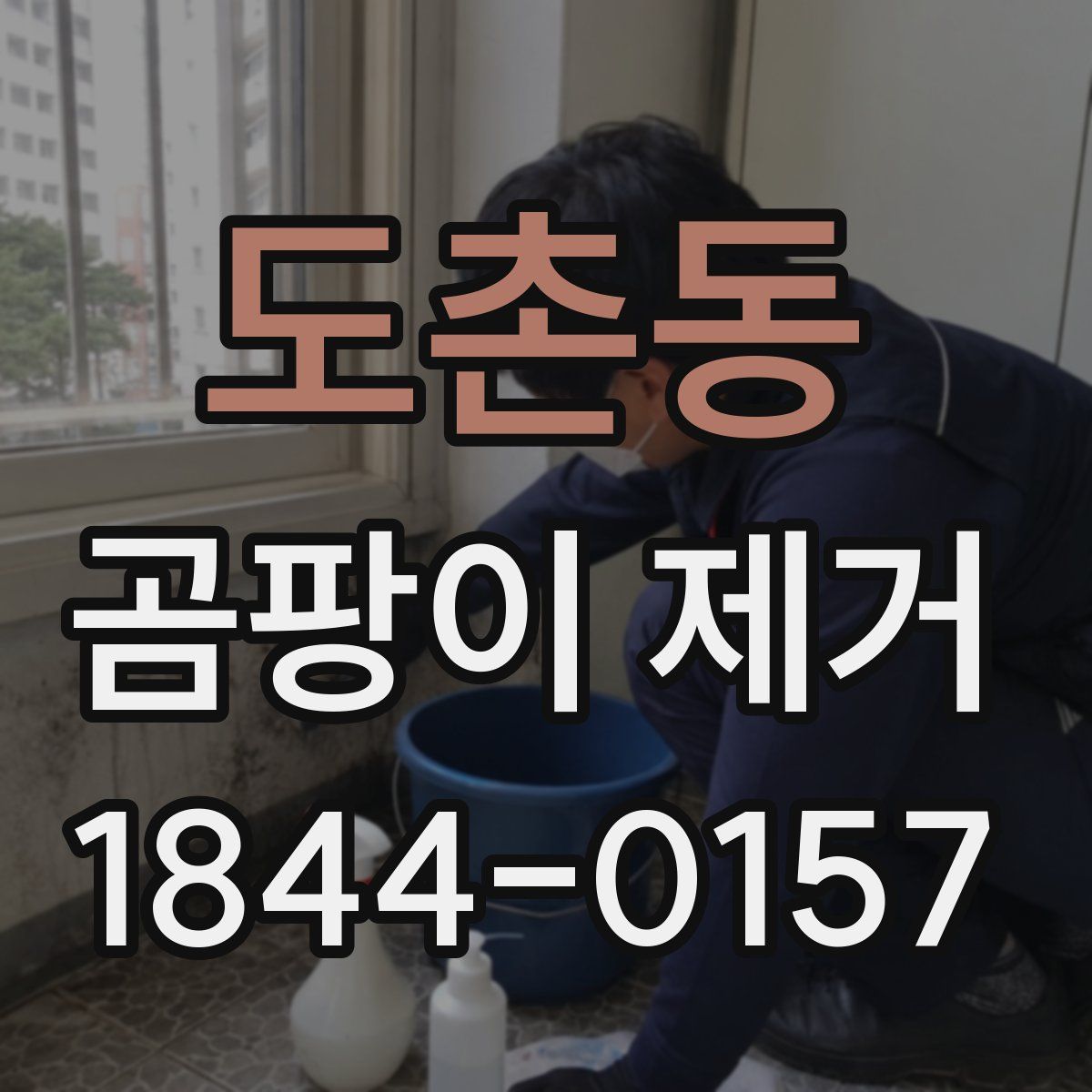 도촌동 곰팡이 제거