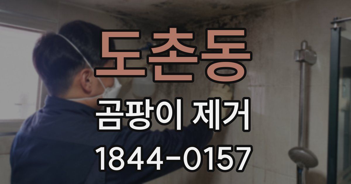 도촌동 곰팡이 제거