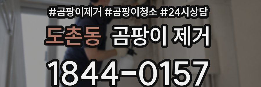 도촌동 곰팡이 제거