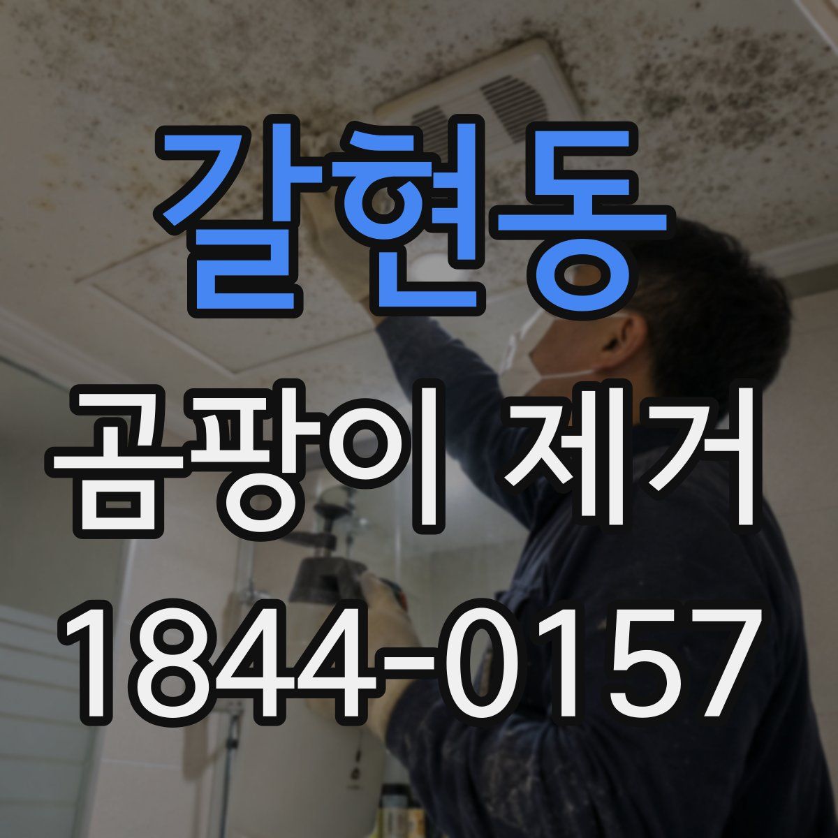 갈현동 곰팡이 제거
