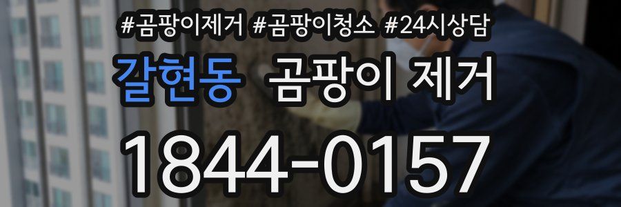 갈현동 곰팡이 제거