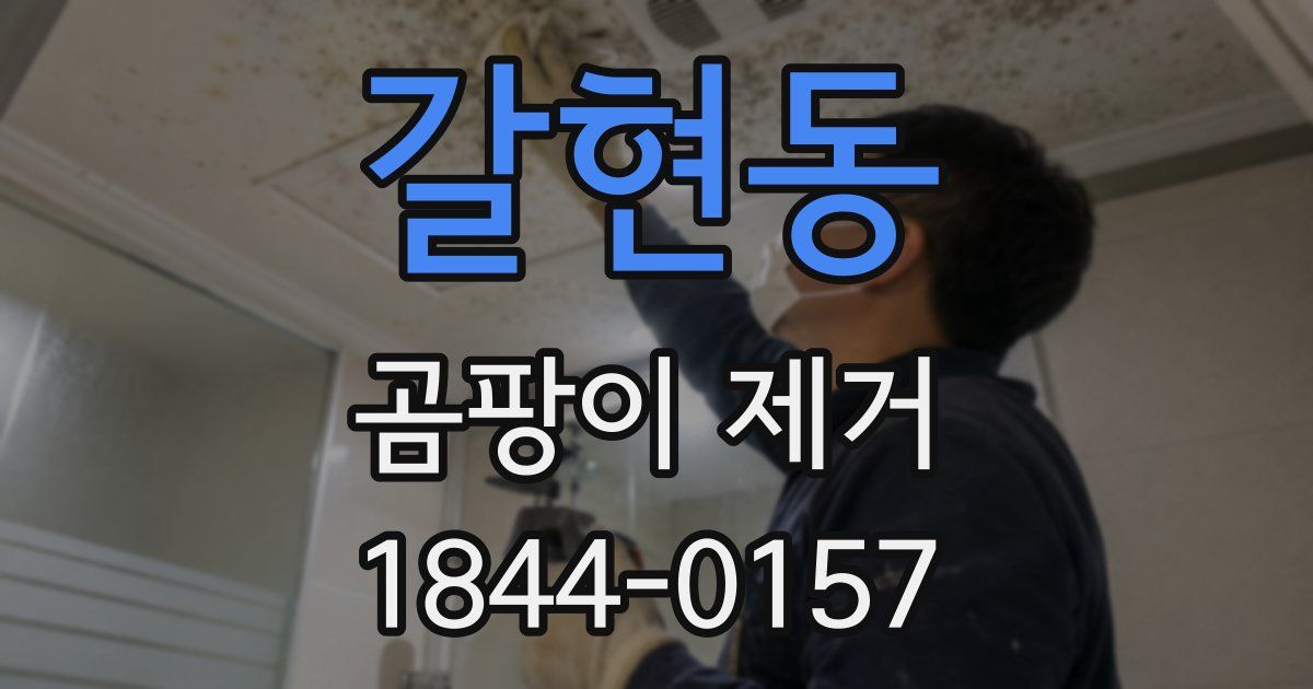 갈현동 곰팡이 제거