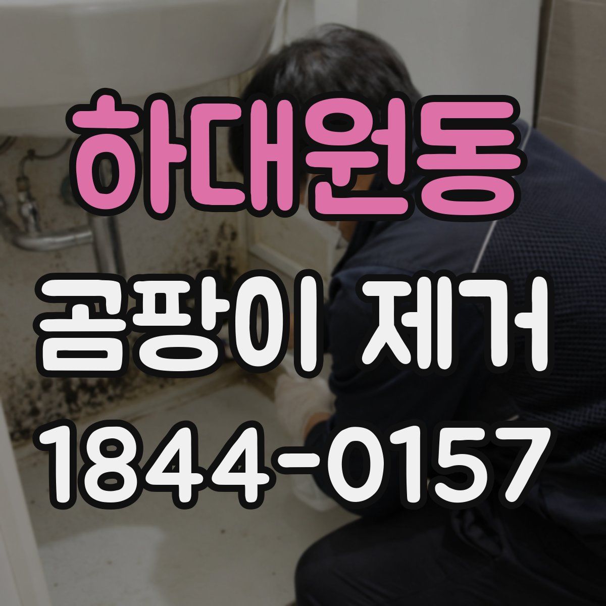 하대원동 곰팡이 제거