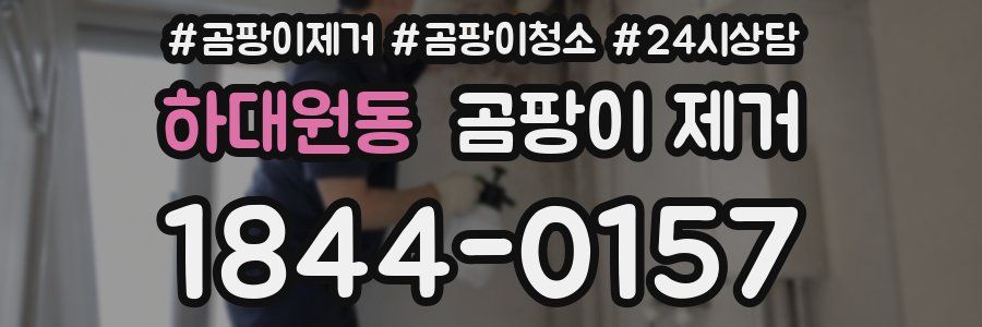 하대원동 곰팡이 제거