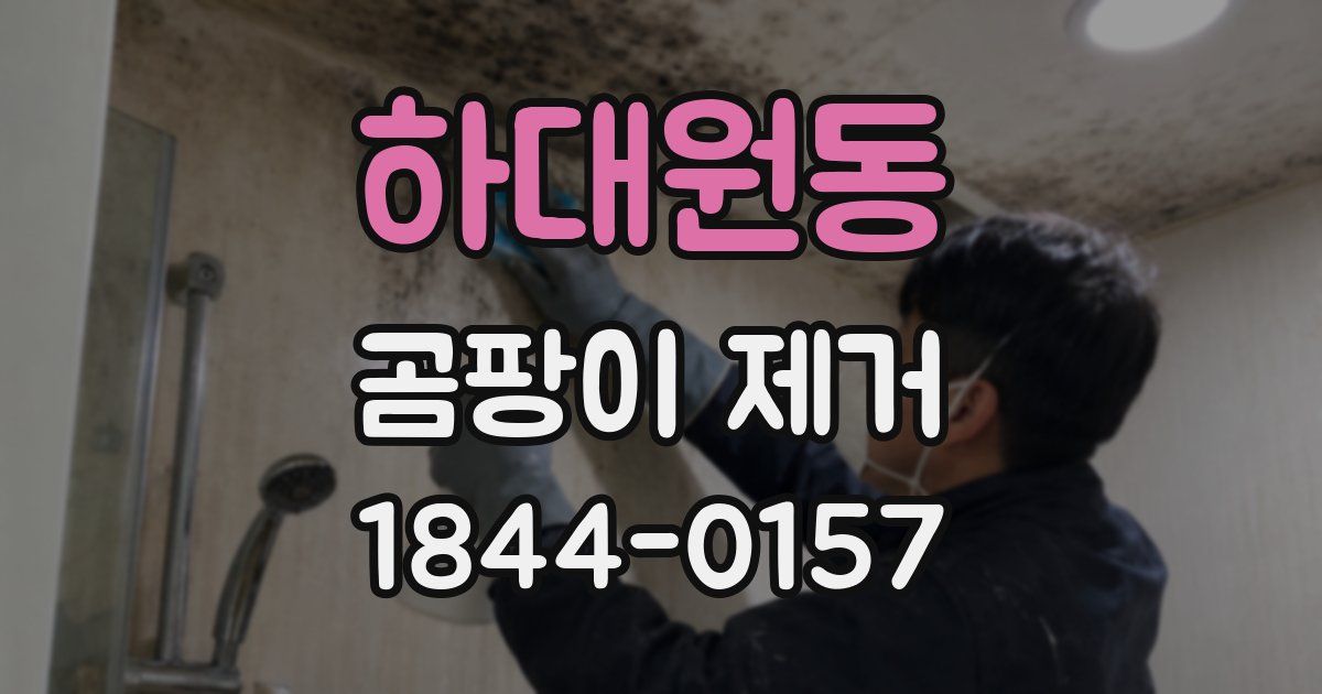 하대원동 곰팡이 제거