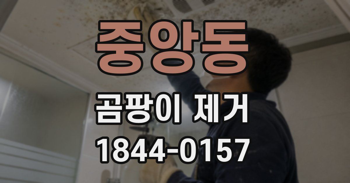 중앙동 곰팡이 제거
