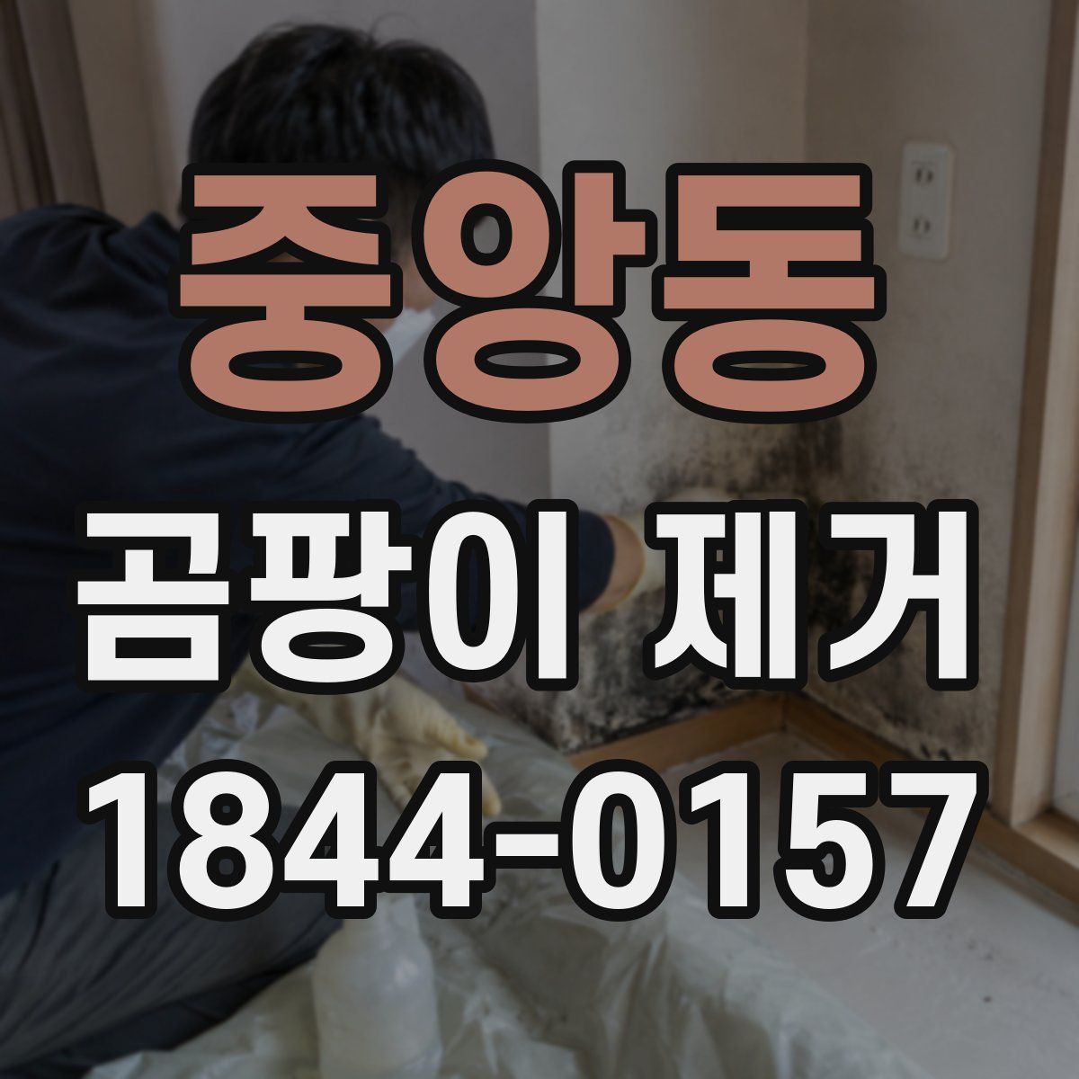 중앙동 곰팡이 제거